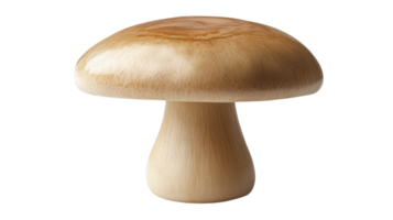 un' singolo pulsante fungo con liscio bianca superficie Perfetto per culinario usi e cibo fotografia. png
