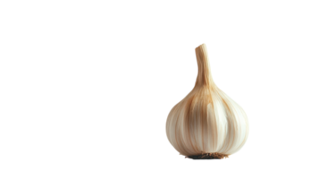 High-Quality Image of a Single Garlic Bulb with a Smooth Surface Ideal for Culinary Use in Food Blogs and Cookbooks. png