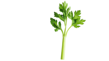 Fresh Green Celery Stick with Leaves Perfect for Healthy Recipes, Salads, and Juicing - Ideal for Cooking and Nutrition. png