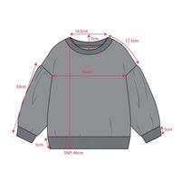 Ladies sweater with measurements details isolated on white background vector