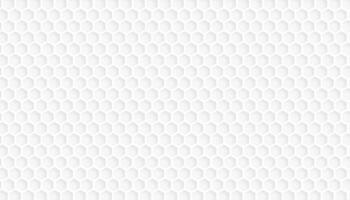 White and gray hexagon pattern texture background. Abstract 3D geometric shape background. vector
