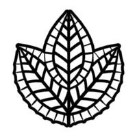 A black and white illustration of a leaf vector
