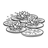 Water lily coloring pages vector
