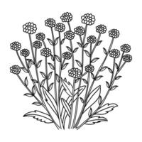 A black and white drawing of a bunch of flowers vector