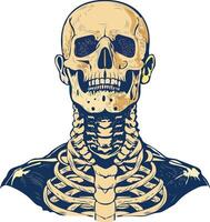 Human neck vertebrae illustration in vintage style vector