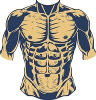 Abdominal muscles illustration in vintage style vector