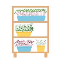 Hand drawn microgreens in pots. illustration in flat style isolated on white background. Micro green. Beets, lettuce, cabbage, sorrel, onion, radish, arugula, peas. Growing superfood at home. vector