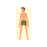 Young Man Sunbathing on Beach Towel, Top View of Lying Guy in Swimwear Illustration vector
