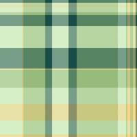 Tailor textile texture background, luxurious pattern fabric . Workshop plaid check seamless tartan in light and pastel colors. vector