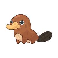 Illustration of Platypus vector