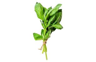 A sprig of Basil Isolated on white background. Top view. photo