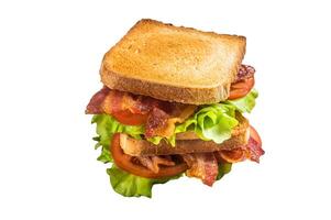 BLT toasted sandwich with bacon, tomato and lettuce. Isolated on white background photo
