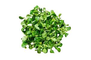 Fresh green corn salad leaves on a rustic plate. Isolated on white background. photo