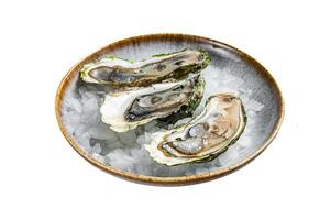 Opened Fresh oysters with lemon and ice in a plate. Isolated on white background. Top view. photo