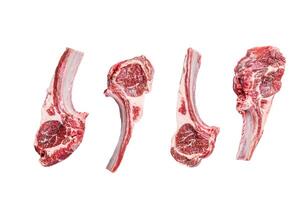 Raw lamb meat chops on a butcher table. Isolated on white background. photo