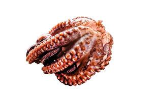Grilled whole octopus Isolated on white background. Top view. photo