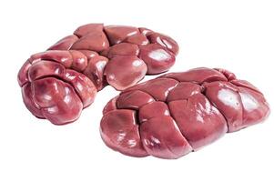 Raw Beef kidney on butcher table. Isolated, white background. photo