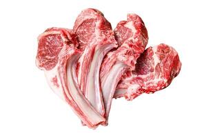 Lamb raw chops steaks on butcher cutting board. Isolated on white background, top view. photo