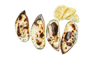 Baked mussels with cheese and lemon in shells. Isolated, white background. photo
