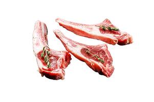 Raw lamb chops, Rack of Lamb with rosemary and spices. Organic meat steak. Isolated on white background. Top view. photo