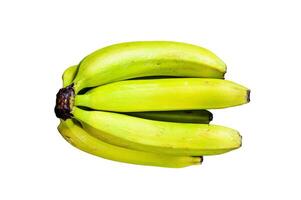 Banana called guineo or bocadillo Musa acuminata. Isolated on white background. photo