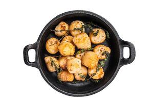 Scallops seared in garlic, thyme and butter served in cast iron skillet. Isolated on white background. photo