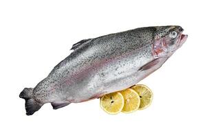 Whole trout, raw fish on a wooden board with thyme and lemon. Isolated, white background. photo