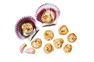 Fried seafood scallops meat with butter in a shells. Isolated on white background, top view. photo