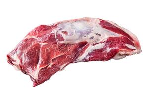 Raw lamb mutton shoulder meat on the bone. Isolated on white background. photo