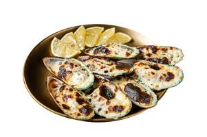 Baked large mussels with cheese, cilantro and lemon in shells. Isolated on white background. photo