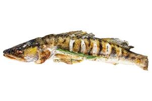 Grilled Zander, walleye fish with herbs and lemon Isolated on white background. Top view. photo
