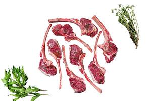 Ready for cooking Raw lamb, mutton chops steaks Isolated on white background, top view. photo