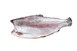 Fresh whole trout fishes. Isolated on white background. photo