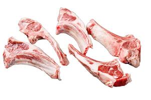 Raw lamb chops, Rack of Lamb. Isolated on white background. Top view. photo