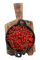 Red currant berries in a pan. Isolated on white background, top view. photo