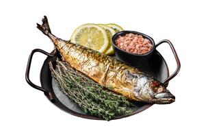 Baked Mackerel Scomber fish in steel tray with thyme and lemon. Isolated on white background. Top view. photo