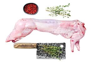 Raw hare meat with spices for cooking. Isolated on white background. Top view. photo