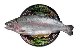 Raw Sea trout, fresh fish on a plate with herbs. Isolated on white background. photo