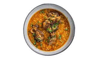 Kharcho beef meat soup with rice, tomatoes and spices in a bowl. Isolated on white background. photo