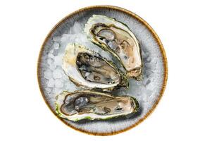Opened Fresh oysters with lemon and ice in a plate. Isolated on white background. photo