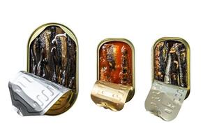 Assorted canned fish in a tin sardine, smoked sardine, mackerel. Isolated on white background. Top view. photo