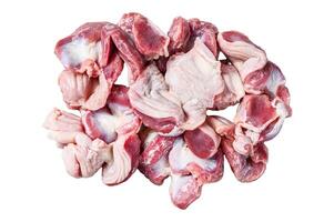 Raw uncooked chicken gizzards, stomach. Isolated on white background. Top view. photo