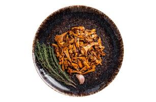Cooked wild fried chanterelle mushrooms with onions and herbs. Isolated, white background. Top view. photo