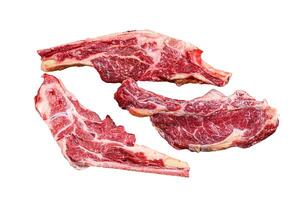 Various cuts of raw beef meat. Isolated on white background. photo