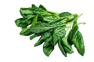 Raw fresh spinach leaves on a stone table. Isolated on white background. photo