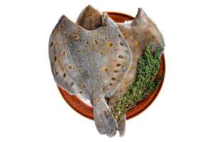 Raw flounder or plaice on rustic plate with herbs. D Isolated, white background. Top view. photo