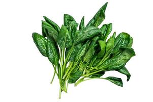 Raw fresh spinach leaves on a stone table. Isolated on white background. photo