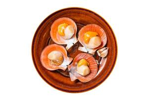 Shellfish raw Scallops on a rustic plate with thyme. Isolated, white background. Top view. photo