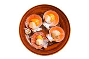 Shellfish raw Scallops on a rustic plate with thyme. Isolated on white background. photo