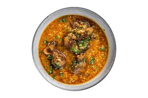 Kharcho beef meat soup with rice, tomatoes and spices in a bowl. Isolated on white background. photo